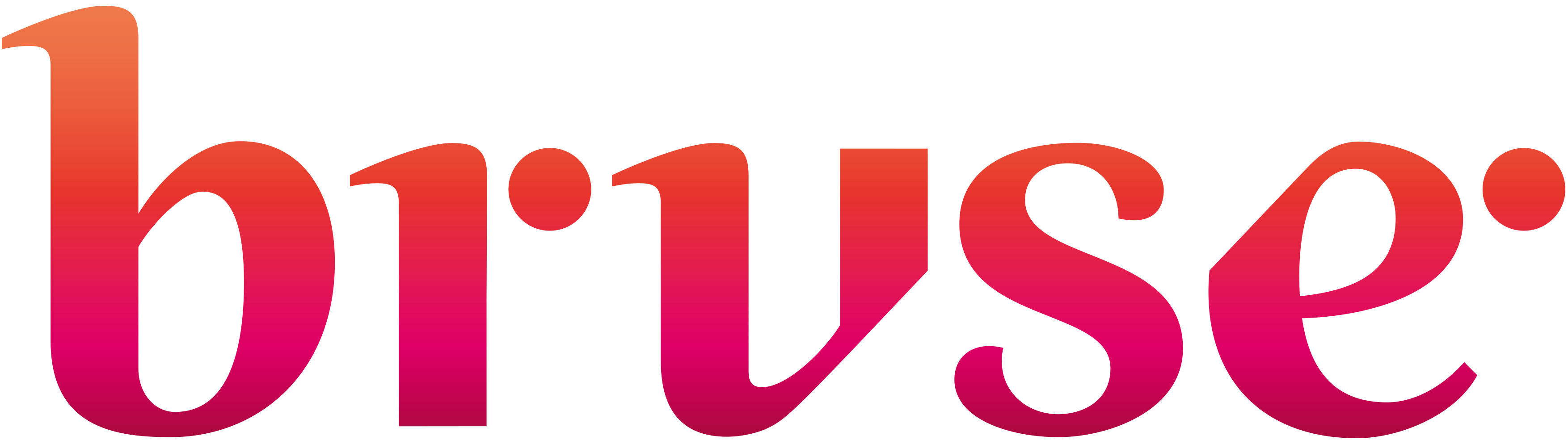 Bruse Logo