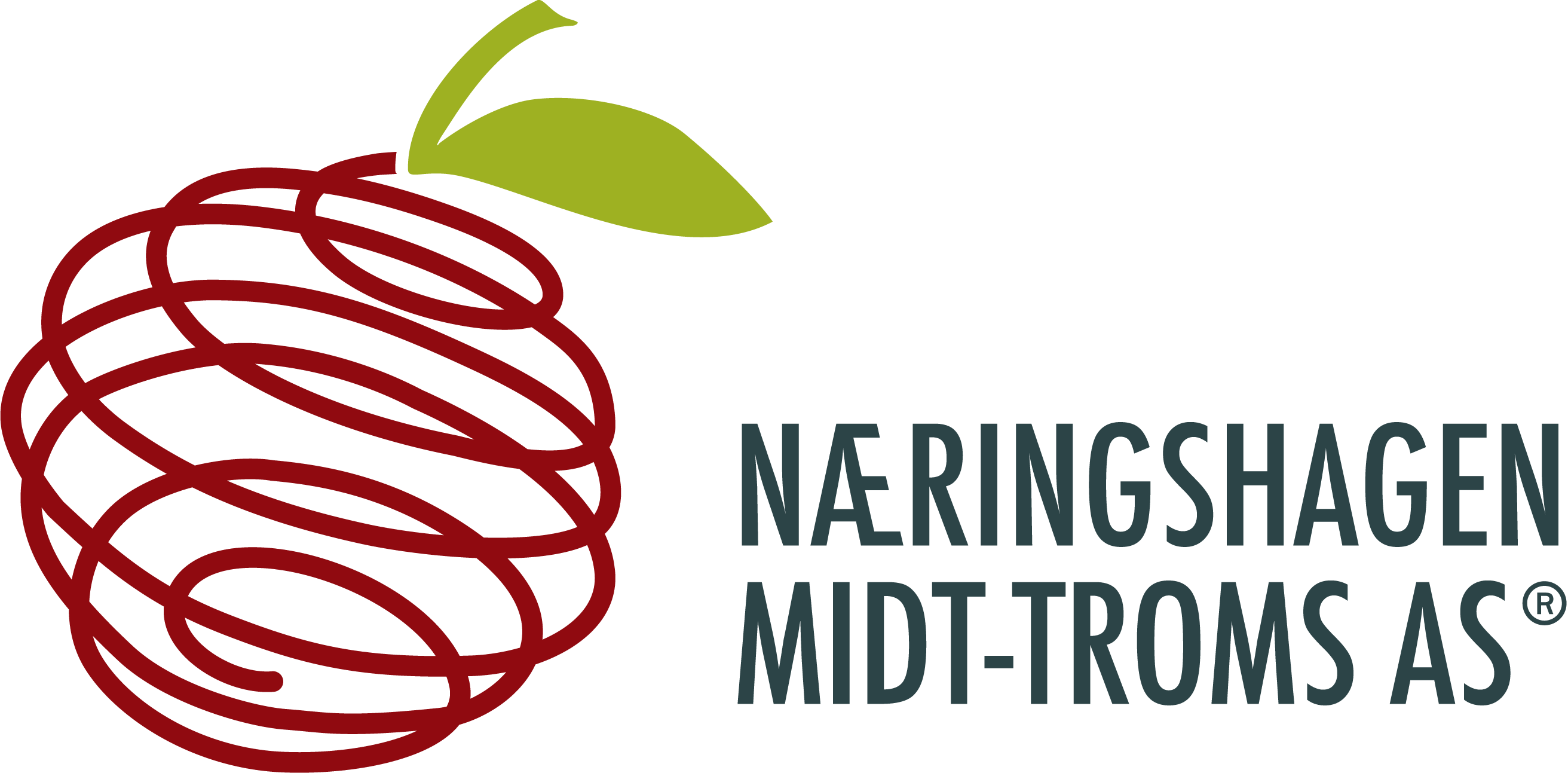Hallingdal Næringshage. Logo