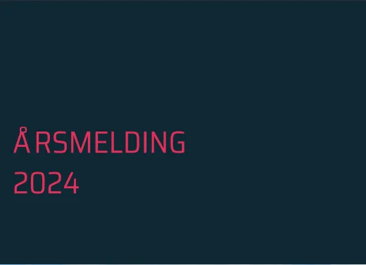 2025 06 12 09 20 02 Årsmelding for Vidju Holding 2024 pdf og 2 sider til Bruse Microsoft Edge